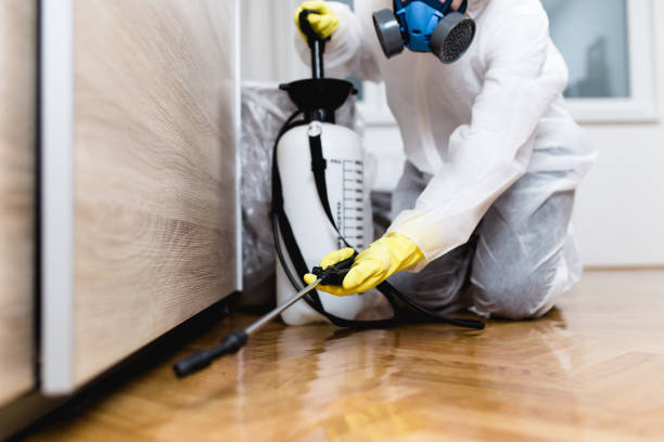 Best Ant Control Services  in Garland, NC