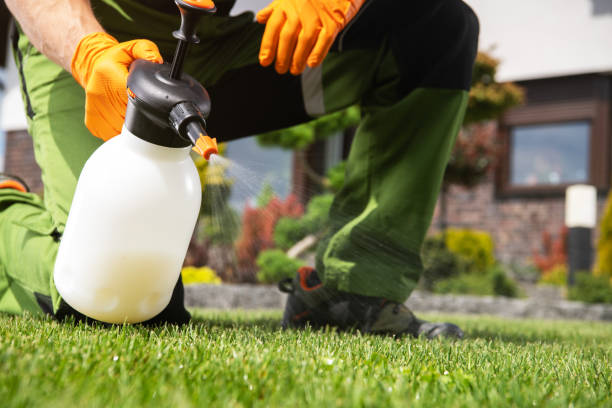 Best Bed Bug Extermination  in Garland, NC