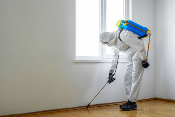 Best Termite Control Services  in Garland, NC