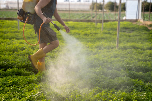 Best Residential Pest Control  in Garland, NC