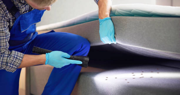 Best Affordable Pest Control Services  in Garland, NC
