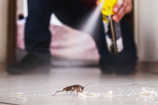 Best Pest Prevention Services  in Garland, NC