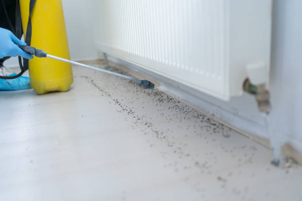 Best Emergency Pest Control  in Garland, NC